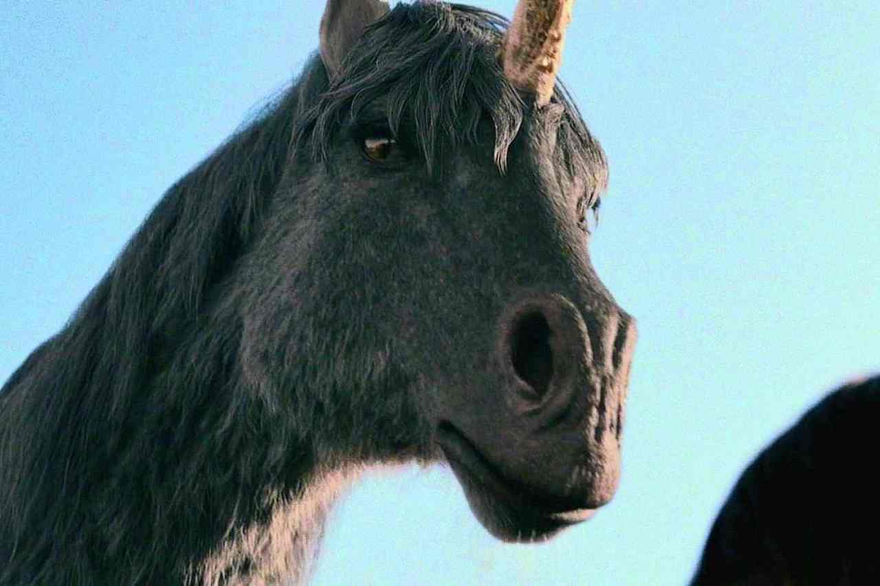 The Unicorns Turn White in ‘Death of a Unicorn’ Movie for a Meaningful Reason (Confirmed)