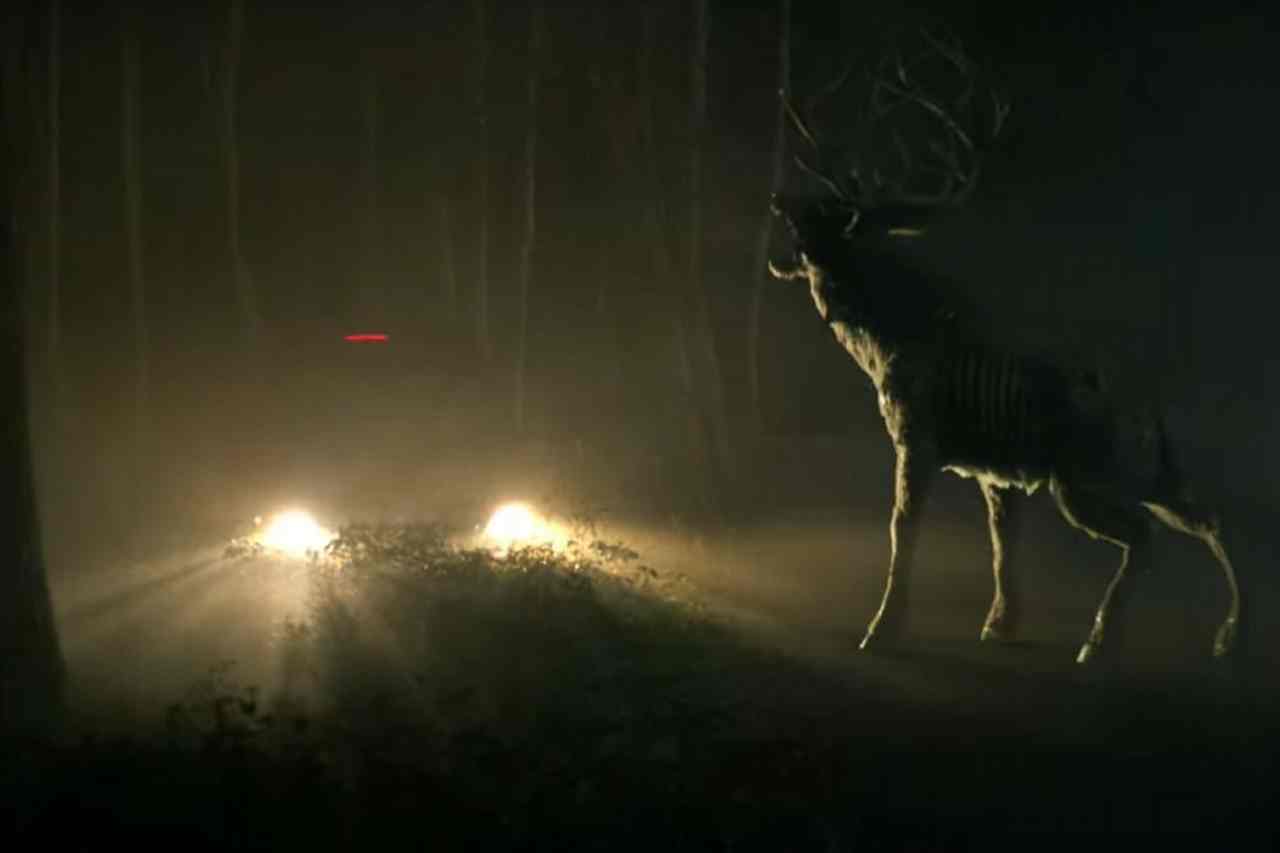 ‘Bambi: The Reckoning’ Traces the Brutal Aftermath of a Disney Classic ‘Bambi: The Reckoning’ Traces the Brutal Aftermath of a Disney Classic